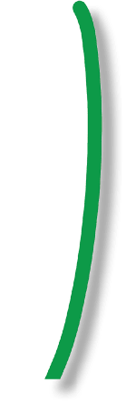 stem 10