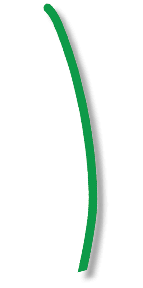 stem 8