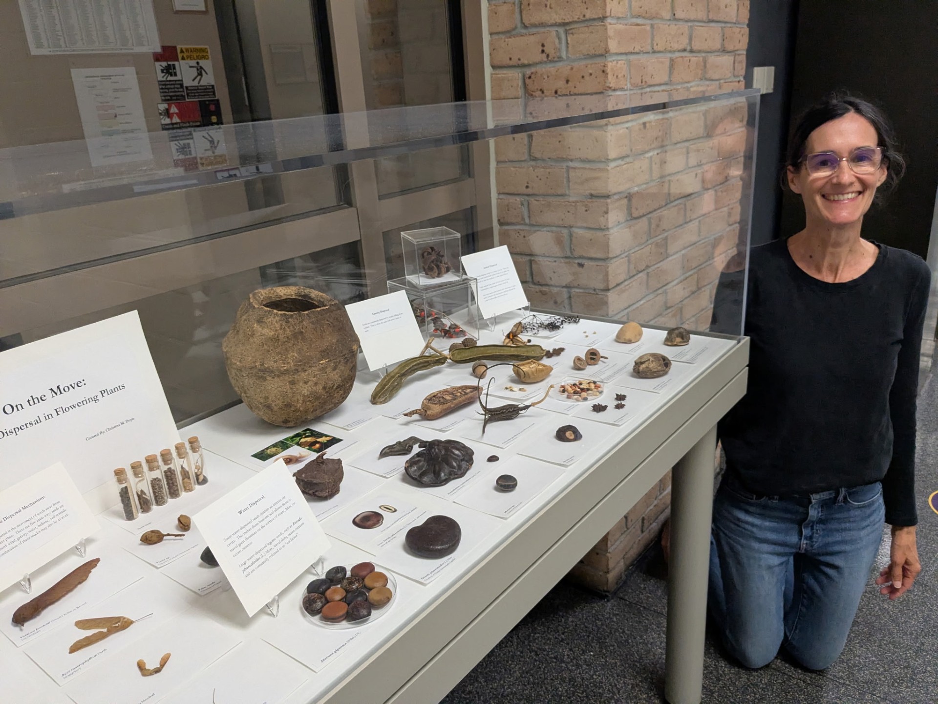 seed display