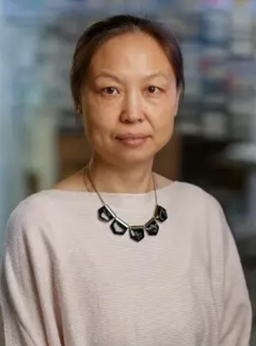 Chen Chen
